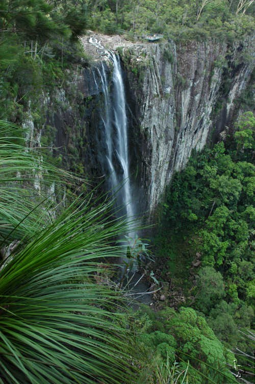 Minion_Falls_Byron_Bay_Jan_2006.jpg