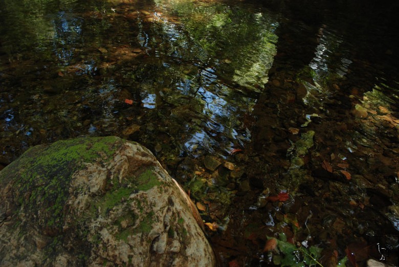 DSC_4829.jpg