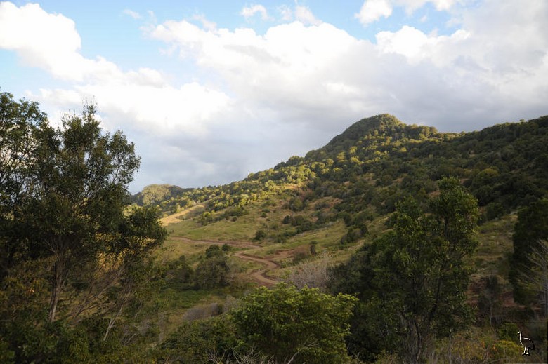 Chincogan_Property_D7C_0162.jpg