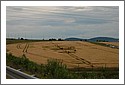 DSC_7787_cropcircles_Marly.jpg