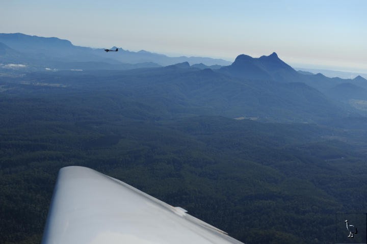 D7C_8766_mt_warning.jpg