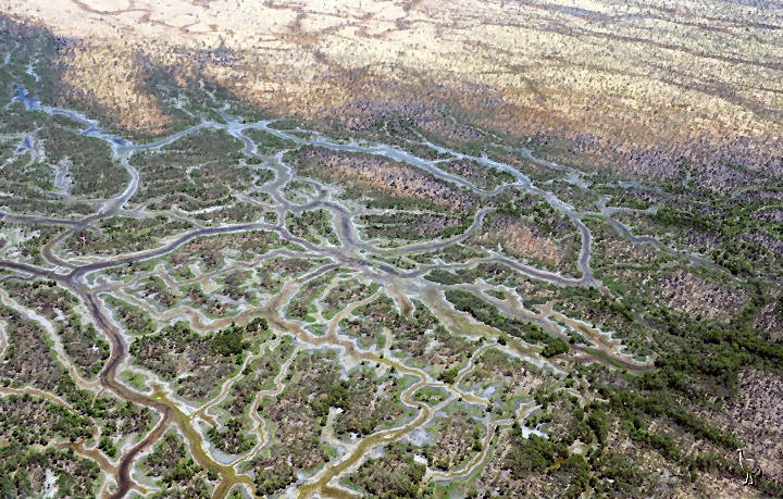 D7C_9267_wetlands.jpg