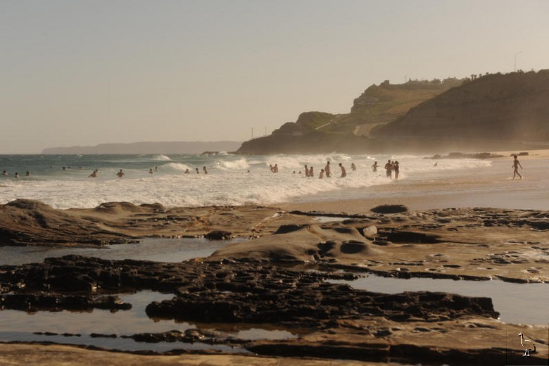 D7C_0841_newcastle.jpg