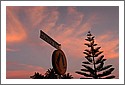 D7C_0635_newcastle.jpg