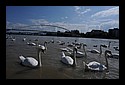 D7C_4845_Rhine.jpg