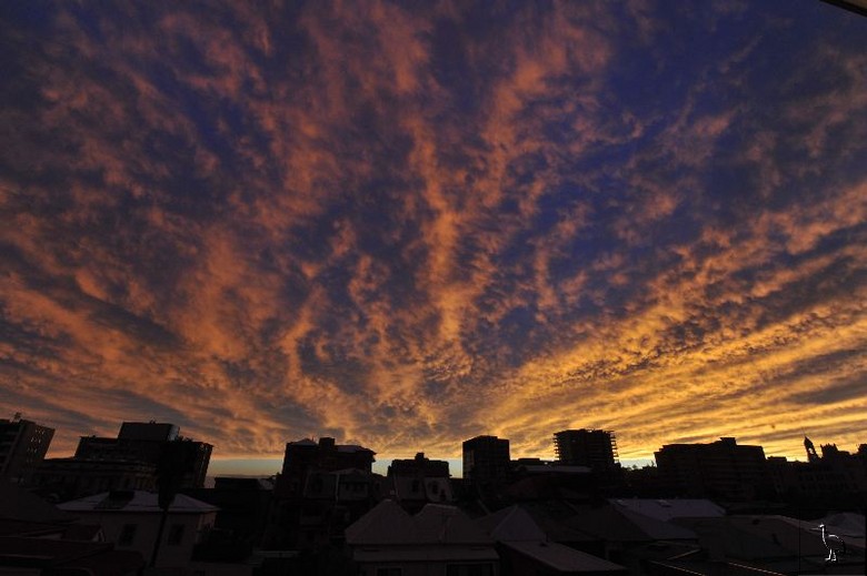 D7C_7160_Newcastle.jpg