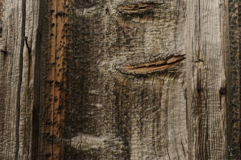 D7C_3222_wood.jpg
