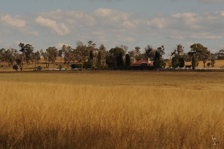 D7C_1762.jpg