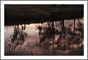 D7C_2408_Deepwater.jpg