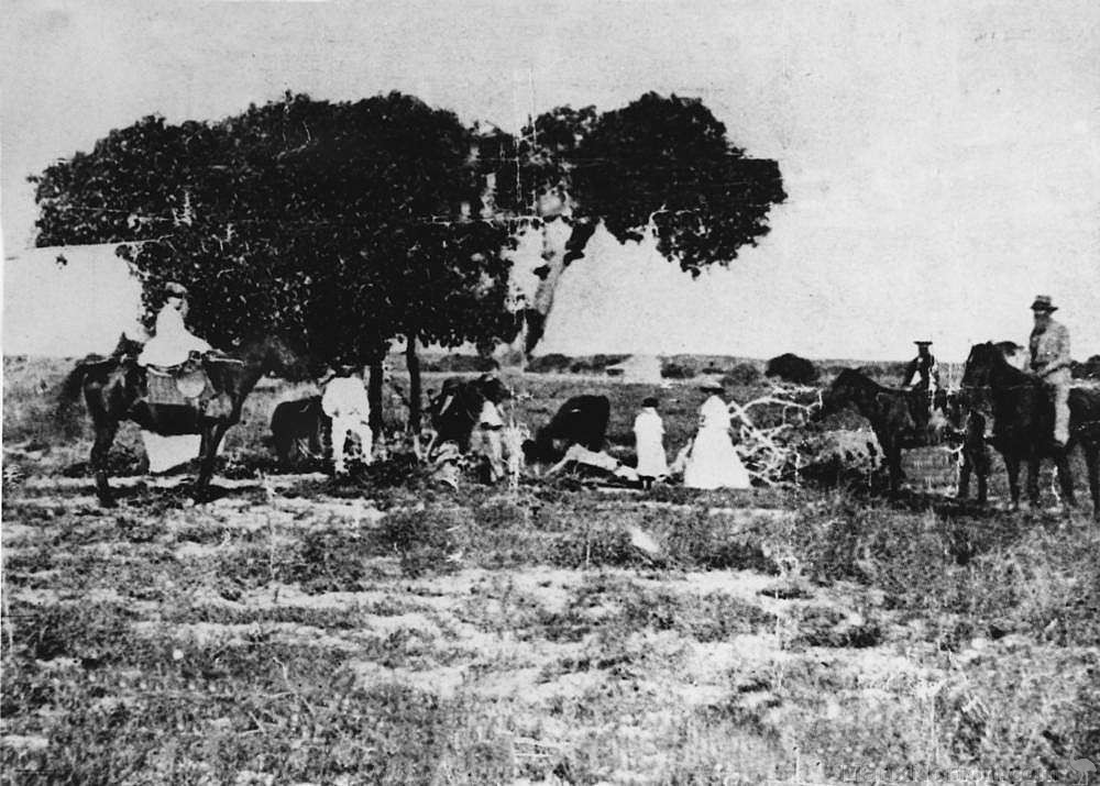 Investigator-Tree-Sweers-1871.jpg