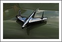chevrolet_D7C_2521.jpg