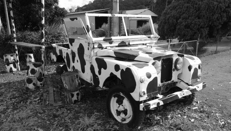 Landrover_moo_moo.jpg