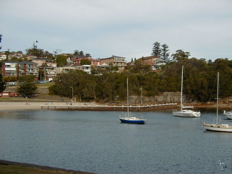 P1010021_Little_Manly.jpg