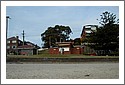 P1010026.jpg