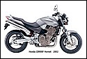 Honda_2002_CB900F_Hornet.jpg