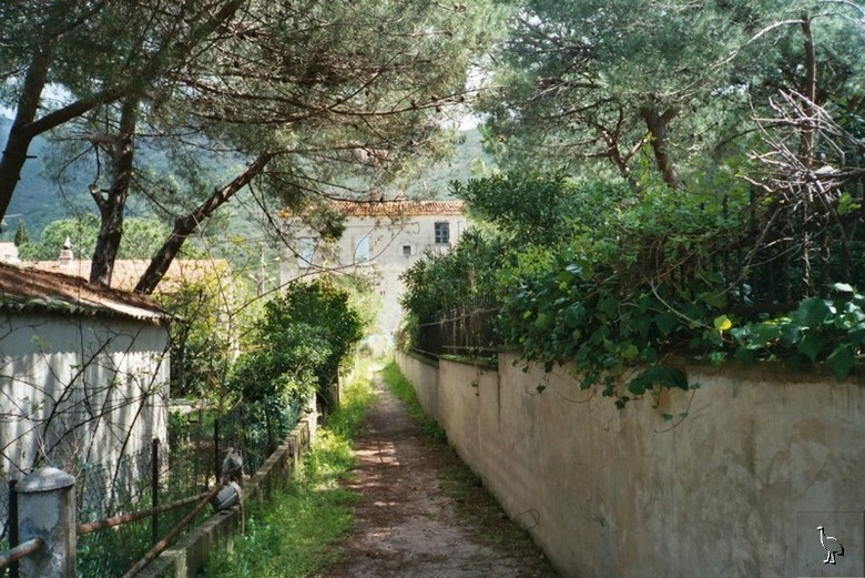 Copie_2_027_24b_11.jpg
