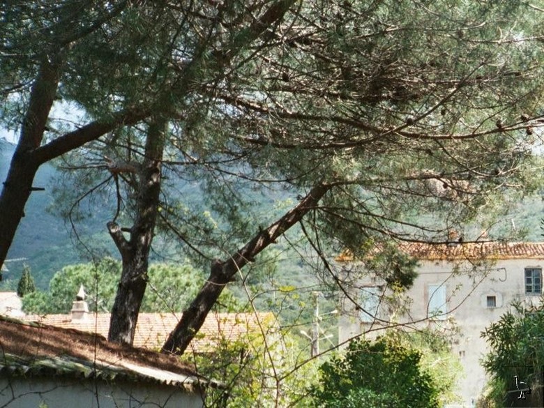 Copie_de_027_24b_11.jpg
