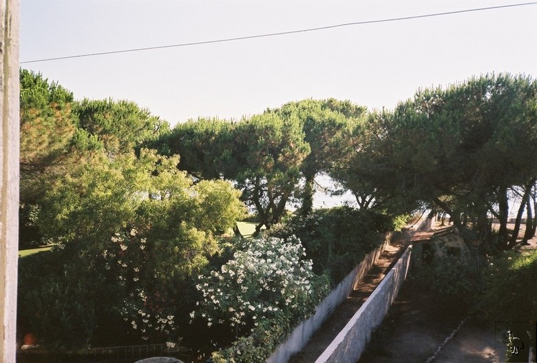 FH000010.jpg