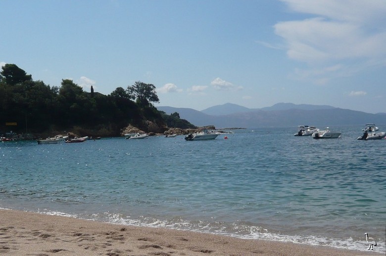 P1030255.jpg