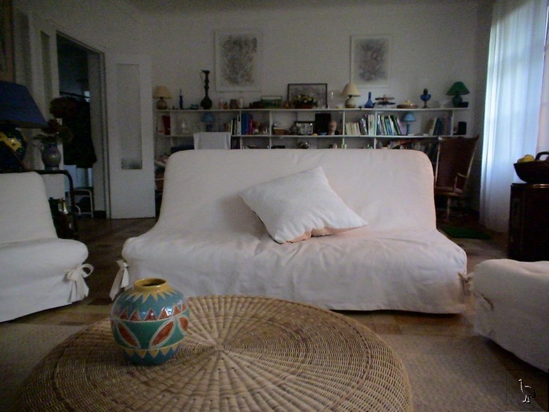 DSC01005.jpg