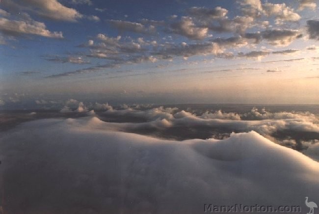Morning-Glory-1990.jpg