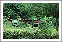 Beehives_Thun_D7C_5367.jpg