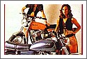norton_850_de.jpg