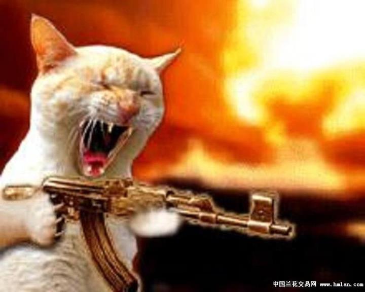 Pussy_Riot_73.jpg