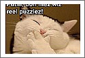 Pussy_Riot_Lolcats.jpg