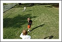 Lake_Macquarie_Lawn.jpg