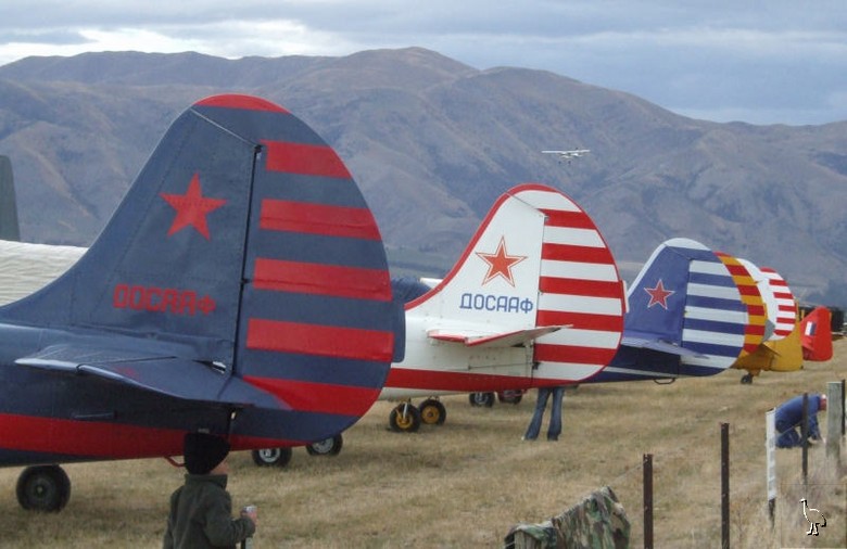 DSCF0672.jpg