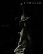 Giambologna