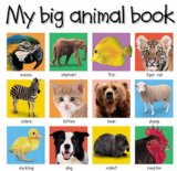 My Big Animal Book
