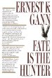FATE IS THE HUNTER