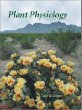 Plant Physiology