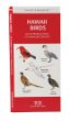 Hawaii Birds: An Introduction to Over 140 Species of the Most Common and Distinctive Hawaiian Birds