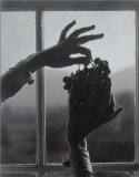 Alfred Stieglitz: The Key Set - Volume I and II: The Alfred Stieglitz Collection of Photographs
