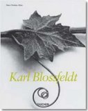 Karl Blossfeldt, 1865-1932 (Midsize)
