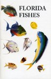 Saltwater Florida Fishes