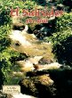 El Salvador: The Land