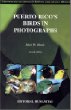 Puerto Rico's Birds in Photographs