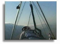 Intrepid Hangie